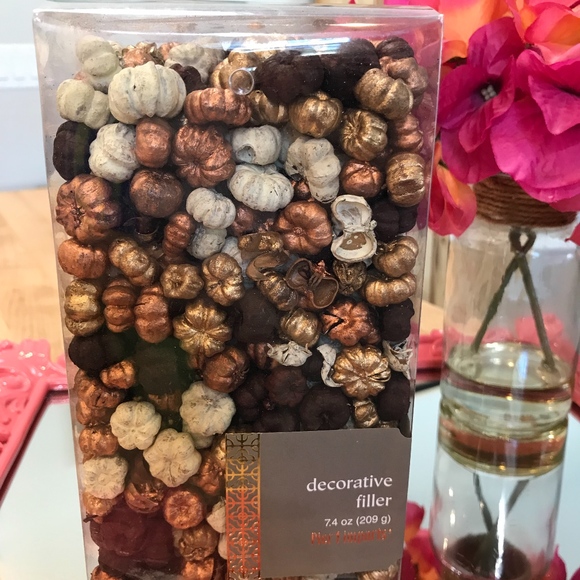 Pier 1 Other - Pier 1 Decorative Filler-NWT